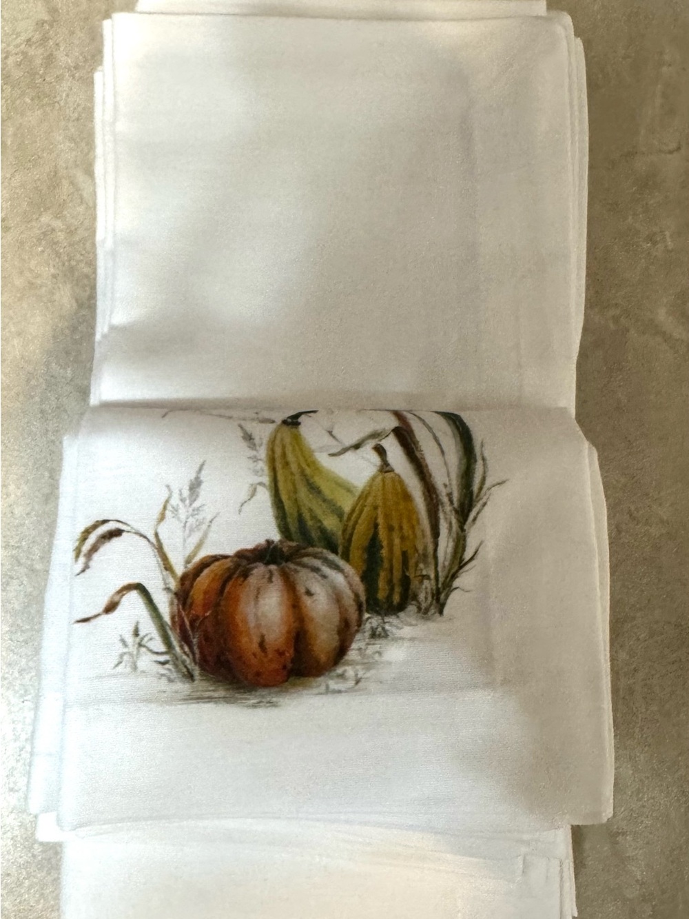 Pottery Barn Bedford Harvest Napkins - Picture 9 of 12